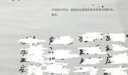 海丰爆料事件最新消息,最新进展与焦点追踪