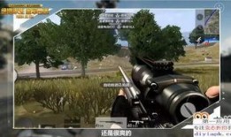 最新枪械爆料视频下载,尖端科技与实战性能一网打尽